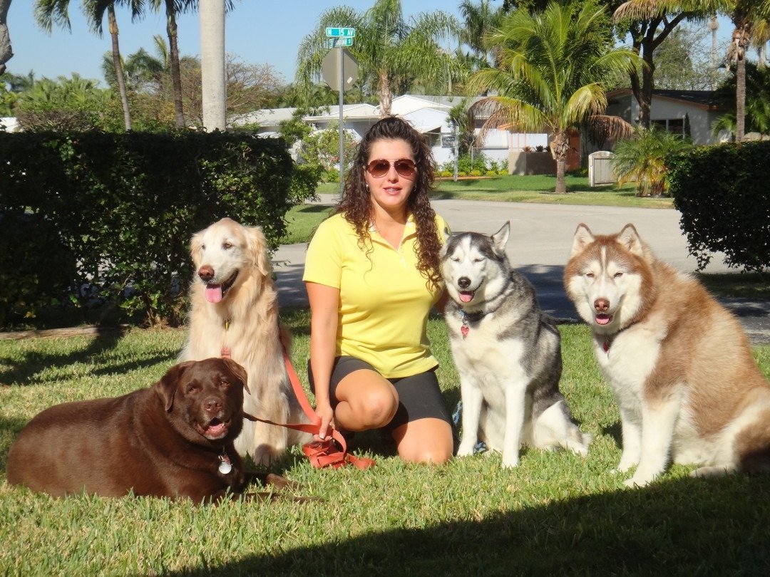 Katt Neuwirth walking multiple dogs in a South Florida neighborhood